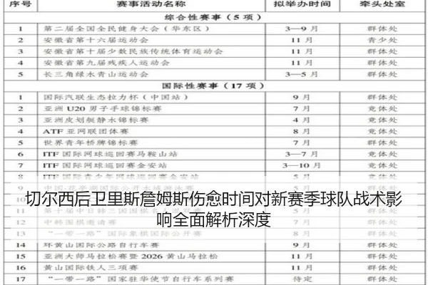 切尔西后卫里斯詹姆斯伤愈时间对新赛季球队战术影响全面解析深度