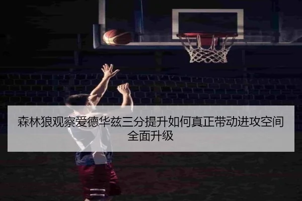 森林狼观察爱德华兹三分提升如何真正带动进攻空间全面升级