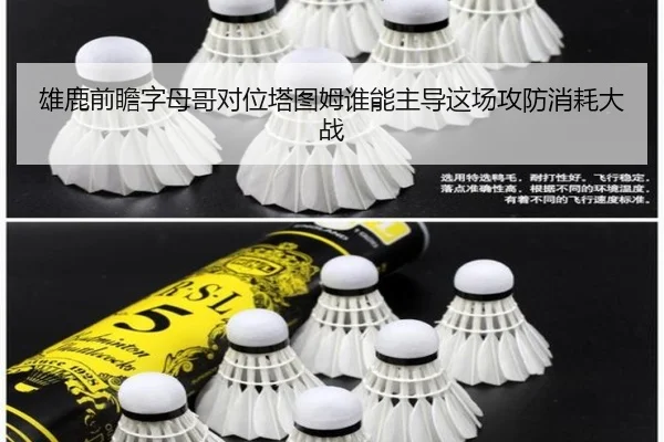 雄鹿前瞻字母哥对位塔图姆谁能主导这场攻防消耗大战
