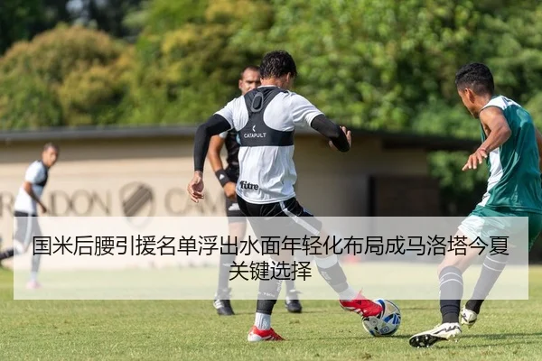 国米后腰引援名单浮出水面年轻化布局成马洛塔今夏关键选择
